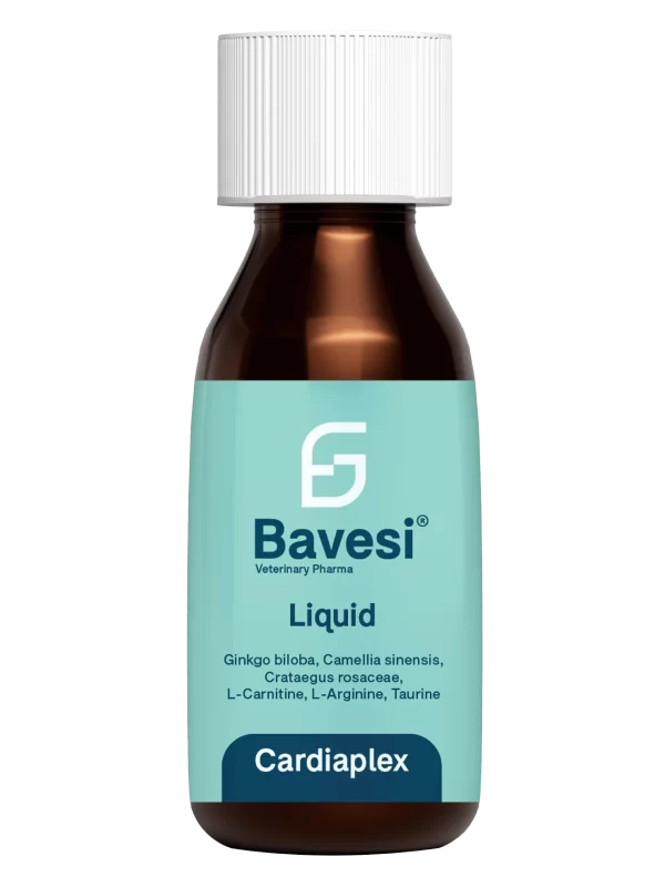 bavesi_cardiaplex-b-min